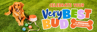 A golden retriever lies on green grass next to colorful pet toys and a bowl, with large promotional text reading 'Celebrate Your Very Best Bud' and a bone-shaped callout for 'The Whataburger Pet Collection is here!'.