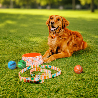 A golden retriever dog lies on green grass outdoors with a set of Whataburger Tennis Balls and accessories in front of it, including a Whataburger Pet Bowl, Whataburger Leash, and Whataburger Pet Collar.