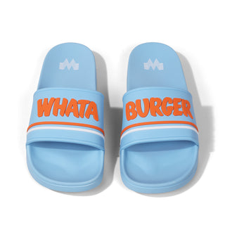 Light blue slides with orange text on a white background