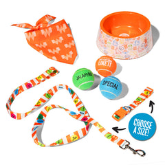 A pet accessory bundle arranged on a white background, including an orange Flying W Logo patterned bandana, an orange bowl and white patterned, ball trio, a leash, a collar, and a blue circular badge that says 'CHOOSE A SIZE' for the collar and leash.